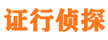 浔阳市私家侦探